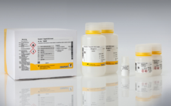 E8600 Enzytec™ Liquid Диоксид серы общий купить