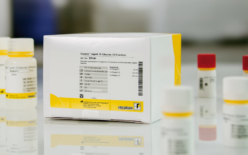 E8160 Enzytec™ Liquid D-Глюкоза/D-Фруктоза купить