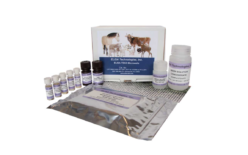 510511 ELISA-TEK™ Сырая говядина купить