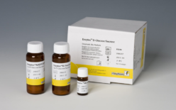 E1240 Enzytec™ Generic Мультикислотный стандарт купить