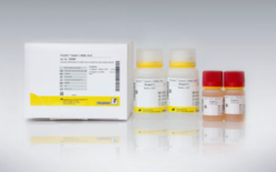 E8240 Enzytec™ Liquid D/L-Молочная кислота купить
