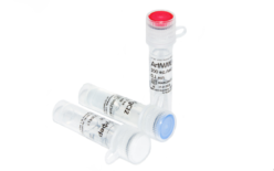 PM20/0 ArtMMLV Ревертаза купить